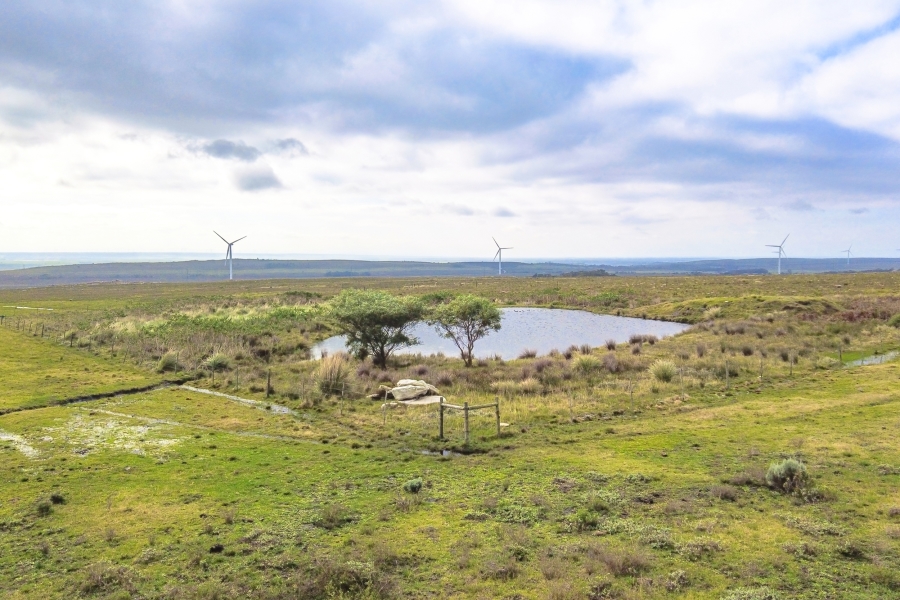 0 Bedroom Property for Sale in Humansdorp Rural Eastern Cape